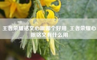 王者荣耀铭文心眼哪个好用_王者荣耀心眼铭文有什么用