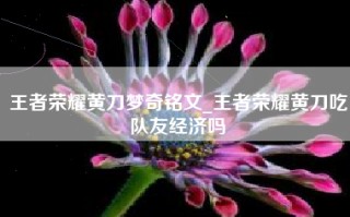 王者荣耀黄刀梦奇铭文_王者荣耀黄刀吃队友经济吗