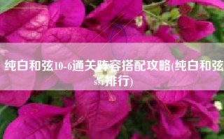 纯白和弦10-6通关阵容搭配攻略(纯白和弦ssr排行)