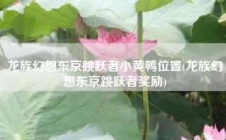 龙族幻想东京跳跃者小黄鸭位置(龙族幻想东京跳跃者奖励)