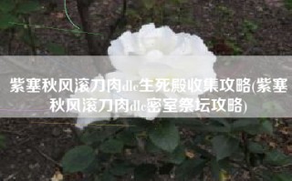 紫塞秋风滚刀肉dlc生死殿收集攻略(紫塞秋风滚刀肉dlc密室祭坛攻略)