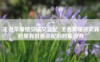 王者荣耀悟空铭文装配_王者荣耀铭文背包里有但是装配的时候没有