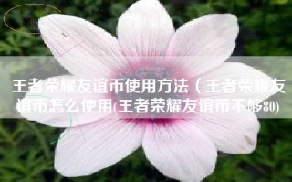 王者荣耀友谊币使用方法（王者荣耀友谊币怎么使用(王者荣耀友谊币不够80)