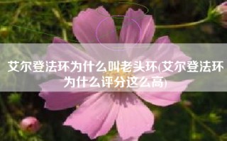 艾尔登法环为什么叫老头环(艾尔登法环为什么评分这么高)