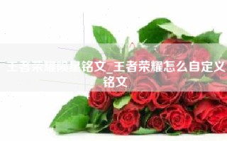 王者荣耀陨星铭文_王者荣耀怎么自定义铭文