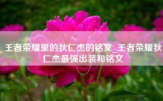 王者荣耀里的狄仁杰的铭文_王者荣耀狄仁杰最强出装和铭文
