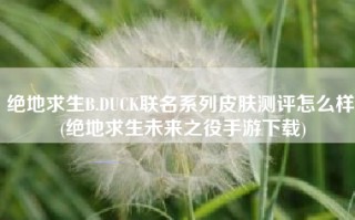 绝地求生B.DUCK联名系列皮肤测评怎么样 (绝地求生未来之役手游下载)