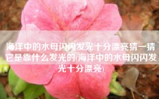 海洋中的水母闪闪发光十分漂亮猜一猜它是靠什么发光的(海洋中的水母闪闪发光十分漂亮)
