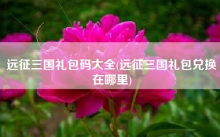 远征三国礼包码大全(远征三国礼包兑换在哪里)