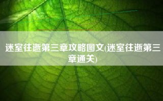 迷室往逝第三章攻略图文(迷室往逝第三章通关)