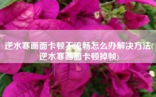 逆水寒画面卡顿不流畅怎么办解决方法(逆水寒画面卡顿掉帧)