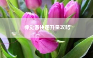 神觉者快速升星攻略