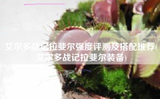 艾尔多战记拉斐尔强度评测及搭配推荐(艾尔多战记拉斐尔装备)