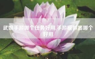 武娘手游哪个任务好用,手游模拟器哪个好用
