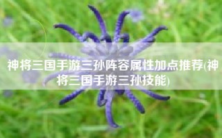 神将三国手游三孙阵容属性加点推荐(神将三国手游三孙技能)