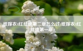 纸嫁衣4红丝缠第二章怎么过(纸嫁衣4红丝缠第一章)