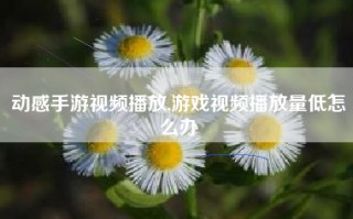 动感手游视频播放,游戏视频播放量低怎么办