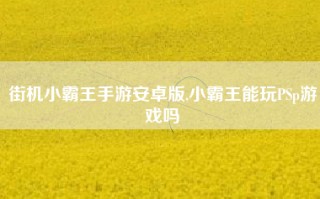 街机小霸王手游安卓版,小霸王能玩PSp游戏吗