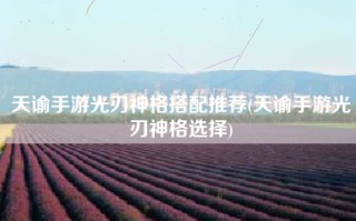 天谕手游光刃神格搭配推荐(天谕手游光刃神格选择)