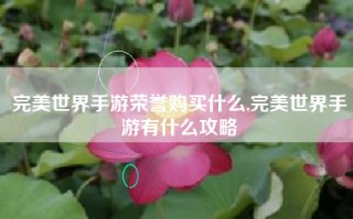 完美世界手游荣誉购买什么,完美世界手游有什么攻略