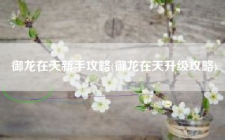 御龙在天新手攻略(御龙在天升级攻略)