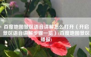 百度地图景区语音讲解怎么打开（开启景区语音讲解步骤一览）(百度地图景区播报)
