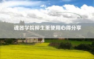 魂器学院柳生熏使用心得分享