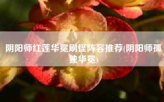 阴阳师红莲华冕刷怪阵容推荐(阴阳师孤独华冕)