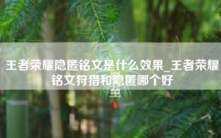 王者荣耀隐匿铭文是什么效果_王者荣耀铭文狩猎和隐匿哪个好
