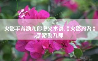 火影手游勘九郎奥义术语,《火影忍者》手游勘九郎