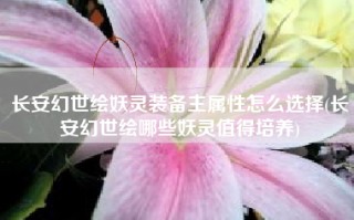 长安幻世绘妖灵装备主属性怎么选择(长安幻世绘哪些妖灵值得培养)