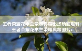 王者荣耀花木兰荣耀典藏出场动画爆料(王者荣耀花木兰荣耀典藏图片)