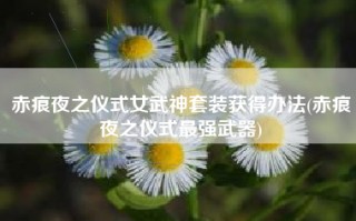 赤痕夜之仪式女武神套装获得办法(赤痕夜之仪式最强武器)