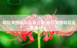 暗区突围暗区礼盒介绍(暗区突围暗区礼盒是什么)