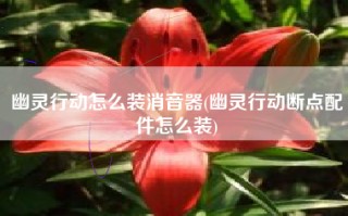 幽灵行动怎么装消音器(幽灵行动断点配件怎么装)