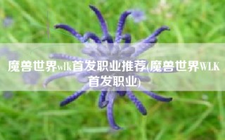 魔兽世界wlk首发职业推荐(魔兽世界WLK首发职业)