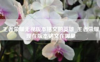 王者荣耀无视版本铭文的英雄_王者荣耀现在版本铭文在哪里