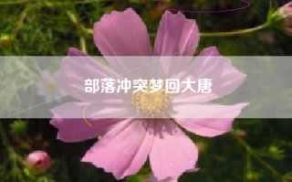 部落冲突梦回大唐