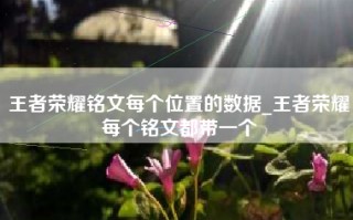 王者荣耀铭文每个位置的数据_王者荣耀每个铭文都带一个
