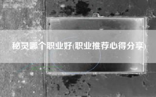 秘灵哪个职业好(职业推荐心得分享)