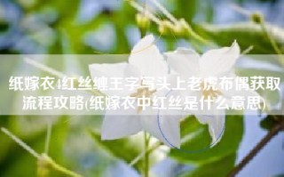 纸嫁衣4红丝缠王字写头上老虎布偶获取流程攻略(纸嫁衣中红丝是什么意思)
