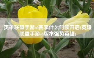 英雄联盟手游s6赛季什么时候开启(英雄联盟手游s6版本强势英雄)