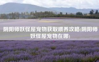阴阳师妖怪屋宠物获取喂养攻略(阴阳师妖怪屋宠物在哪)