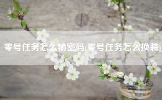 零号任务怎么输密码(零号任务怎么换装)