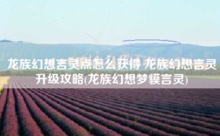 龙族幻想言灵点怎么获得 龙族幻想言灵升级攻略(龙族幻想梦貘言灵)