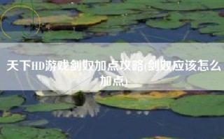 天下HD游戏剑奴加点攻略(剑奴应该怎么加点)