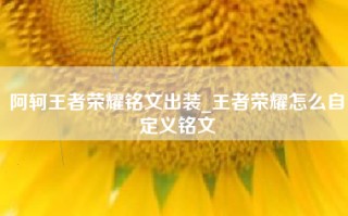 阿轲王者荣耀铭文出装_王者荣耀怎么自定义铭文