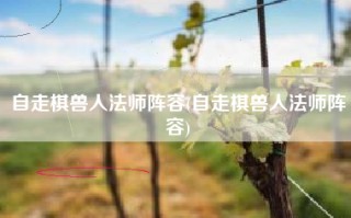 自走棋兽人法师阵容(自走棋兽人法师阵容)