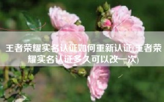 王者荣耀实名认证如何重新认证(王者荣耀实名认证多久可以改一次)