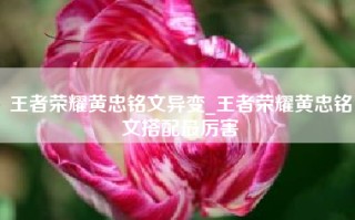 王者荣耀黄忠铭文异变_王者荣耀黄忠铭文搭配最厉害